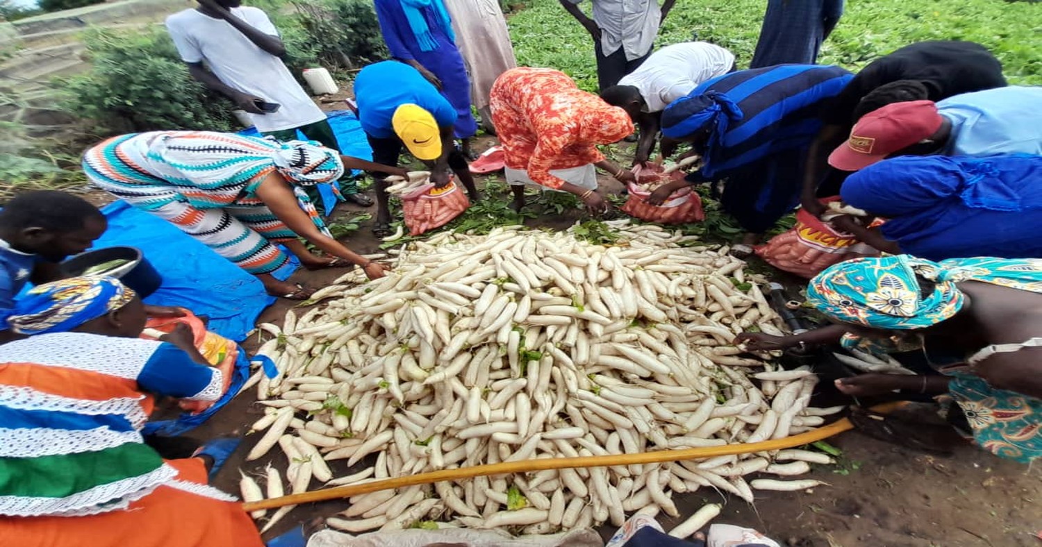 Preservation of health and protection of the environment